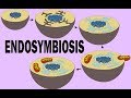 Endosymbiotic Theory and Cell Evolution