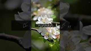 Ameer hone wali quotes # #quotes #azkar