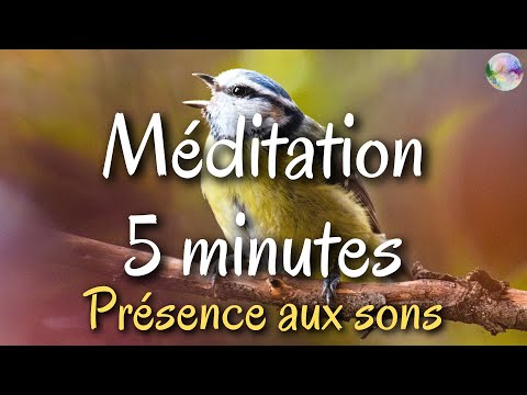 Méditation 5 minutes  - Écouter avec attention