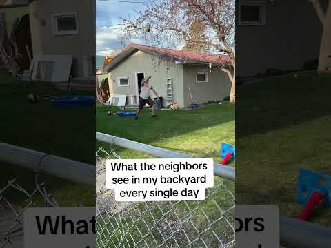 What the neighbors watch in my backyard every single day. #badnapoleon