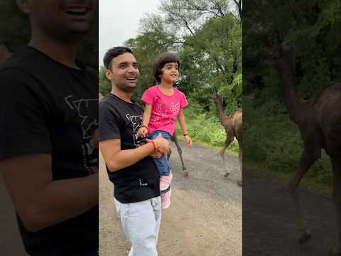 Navya ne camel ko hath laga diya 😳#shorts #trending #viralvideo #shortvideo #unbelievablenavya
