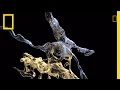 Understanding Brain Structure and Function