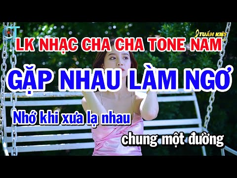 Liên Khúc Nhạc Cha Cha Tone Nam – Gặp Nhau Làm Ngơ – Trách Ai Vô Tình