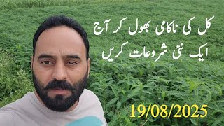 Wake up early in the morning if you want to succeed | 19 August 2025 | goat farming | chakwal |
