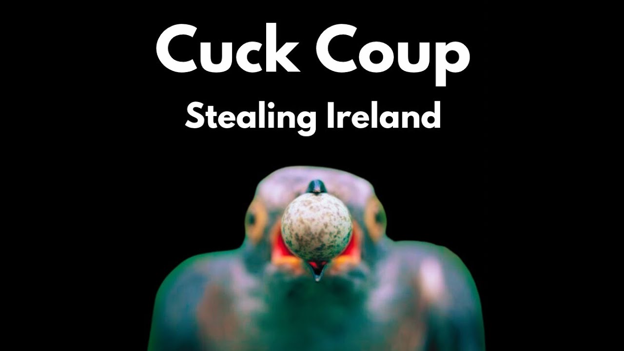 Cuck Coup. Stealing Ireland