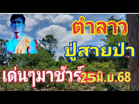 ตำลาวปู่สายป่า 25/6/68
