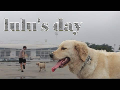 Everyday walking and sightseeing with Lulu - يوم بالخارج مع لولو