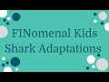 Shark Adaptations and Ecology