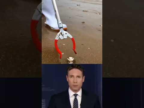 عثروا على مخلوق عجيب على الشاطئ 🤯