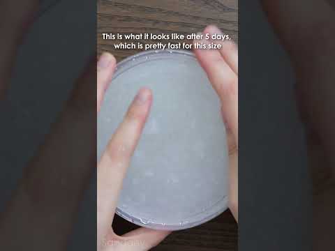 Making slime with Thick Water 💦