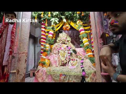 Kirtan At Vrindavan | Bhajan Kirtan | Radhika Vallabh Lal Ju Temple 🧿 | Radha Rani | Radhe Radhe 🙏