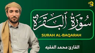 سورة البقرة طاردة الشياطين💚 بصوت هادئ ومريح جدا جدا 💚💤للقارئ محمد الفقيه😴