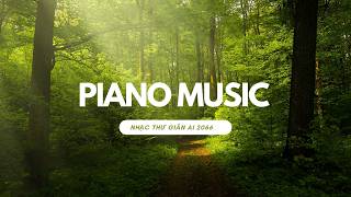 Relaxing birds and piano music, nhạc chim và piano thư giãn P3