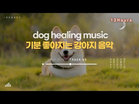 중간광고없음 💖🐶강아지가 행복해 하는 힐링 음악🎵 외출시 틀어주세요🐶 강아지 안정되는 음악 💖강아지 분리불안 해소 12시간🎵  dog healing music12Hours