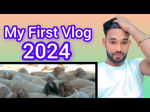 My First Vlog 😂 || My First Vlog video 2024 || Desi Vlog Video || Pravin Singh official