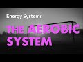Aerobic System Energy Processes