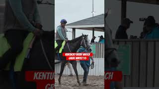 Could GREAT WHITE do a RICH STRIKE at the Kentucky Derby?