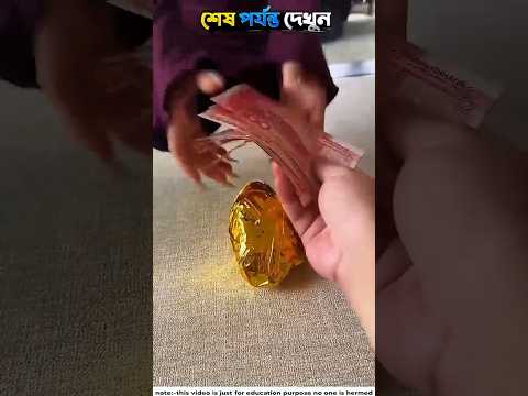 Tools Items 🥰New Viral Gadgets, Smart,Kitchen Utensils /Home Invention #shorts#gadgets