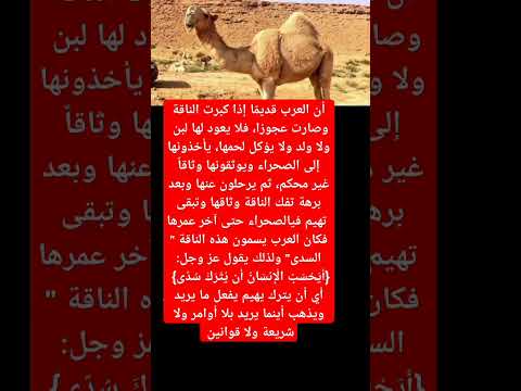 معنى سدى