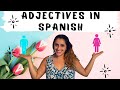 Exploring Adjective Agreement in Spanish