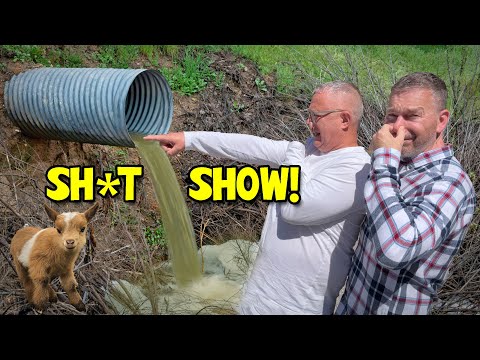 We Were Sinking in Sewage 💩 Until THIS Saved the Day!