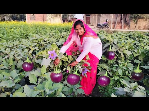 इस तरीके से आपने कभी बैगन को पकाकर ऐसा स्वादिस्ट लिट्टी चोखा नहीं बनाया होगा | Litti aur Chokha