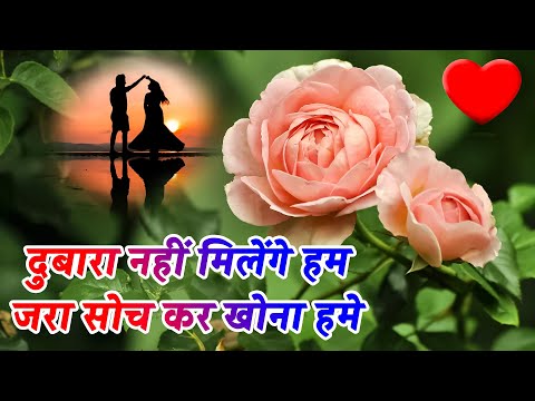 Dubara Nhi Milenge Hum Sochkar Khona Hame | मोहब्बत शायरी | Love Shayari In Hindi | Hindi Shayari