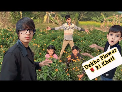 Dekho Flower 🌹 Ki Kheti  🧑‍🌾 || New Vlogs Videos || #souravjoshivlogs || New Vlogs 😍