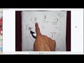 Exploring Moon Phase Predictions