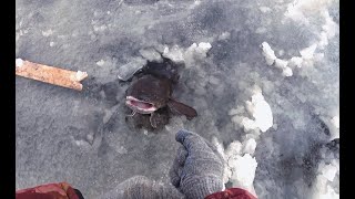 видео