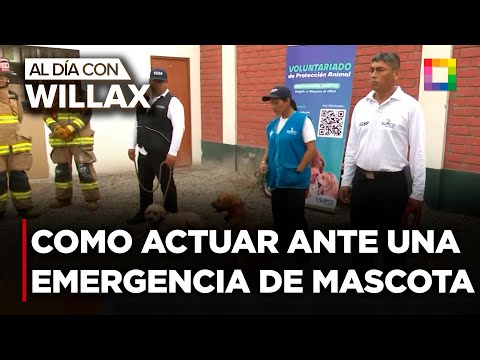 Al Día con Willax - ENE 22 - SEPA CÓMO ACTUAR ANTE UNA EMERGENCIA CON SU MASCOTA | Willax