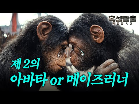 [혹성탈출:새로운시대] 유인원이 인간을 그물로 사냥하는 세상에서 일어나는 일🤦‍♀그래서 시저는 누가 대체한다고요?ㅣ혹성탈출 시리즈 요약, 혹성탈출4요약, 혹성탈출4리뷰