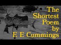 Cummings' Poetry Style and Themes