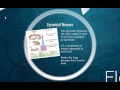 Ecosystem Pyramids and Energy Flow