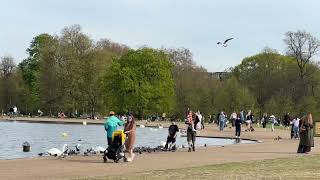 Beautiful weather walking around the park