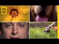Understanding the Sense of Smell