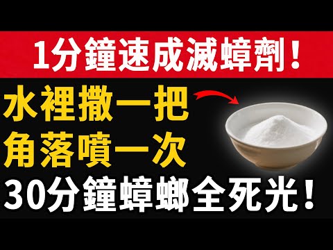 ”1分鐘速成滅蟑劑！水裡撒一把，角落噴一次，30分鐘害蟲全死光！#養之道#健康#中老年#養生”