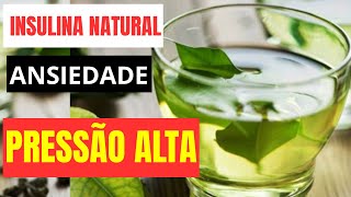 MELHOR QUE INSULINA ESTA PLANTA TAMBEM CONTROLA PRESSÃO E ANSIEDADE!