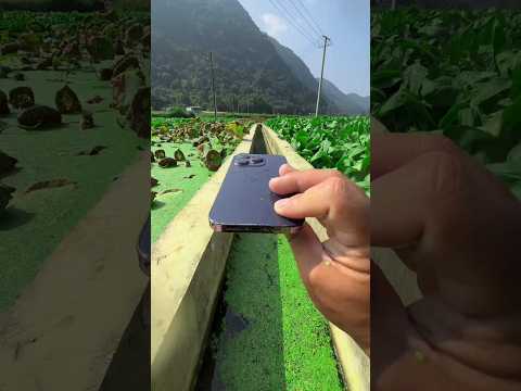 पापा ने अपने iPhone 16 Pro Max को पानी में गिरा दिया 😲 #shorts #shortsvideo #shortsfeed
