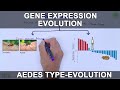 Gene Expression and Aedes Aegypti