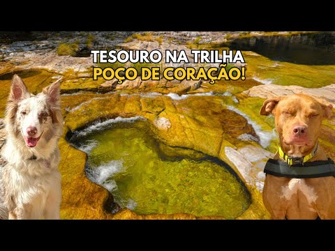 Aventura Em Capitólio - MG | Dicas de Viagem + Hotel Pet Friendly | Cachoeira Da Capivara + Canyons