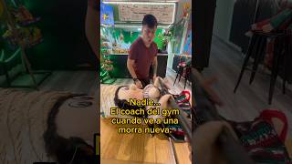 El coach cuando ve morras en el gym