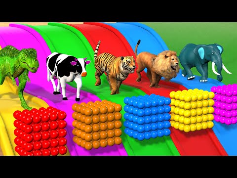 Paint Animals Cow, Elephant, Gorilla, Buffalo ,Zebra, Lion, Fountain Crossing Transformation Cartoon