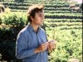 Cuestionario sobre los primeros científicos y sus descubrimientos