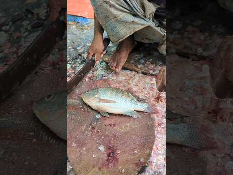 Bangladesh Fish Market Tilapia Fish Has The Fastest Cutting Ability😱😳 || #shorts