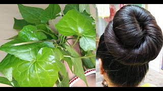 ৩ দিনেই আপনার চুল পা পর্যন্ত লম্বা হবেই হবে | The Best Kept Secret To Growing Long Healthy Hair FAST