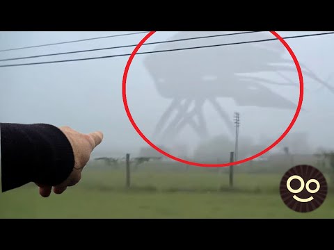 10 Criaturas GIGANTES que te Harán TEMBLAR