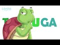 Understanding the Tortuga Concept