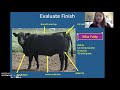 Evaluating Beef Cattle Characteristics
