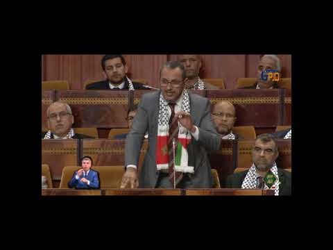 (17) تيكوكين، الناصيفي حول تطوير آليات تمويلية ملائمة لقطاع الصناعة التقليدية